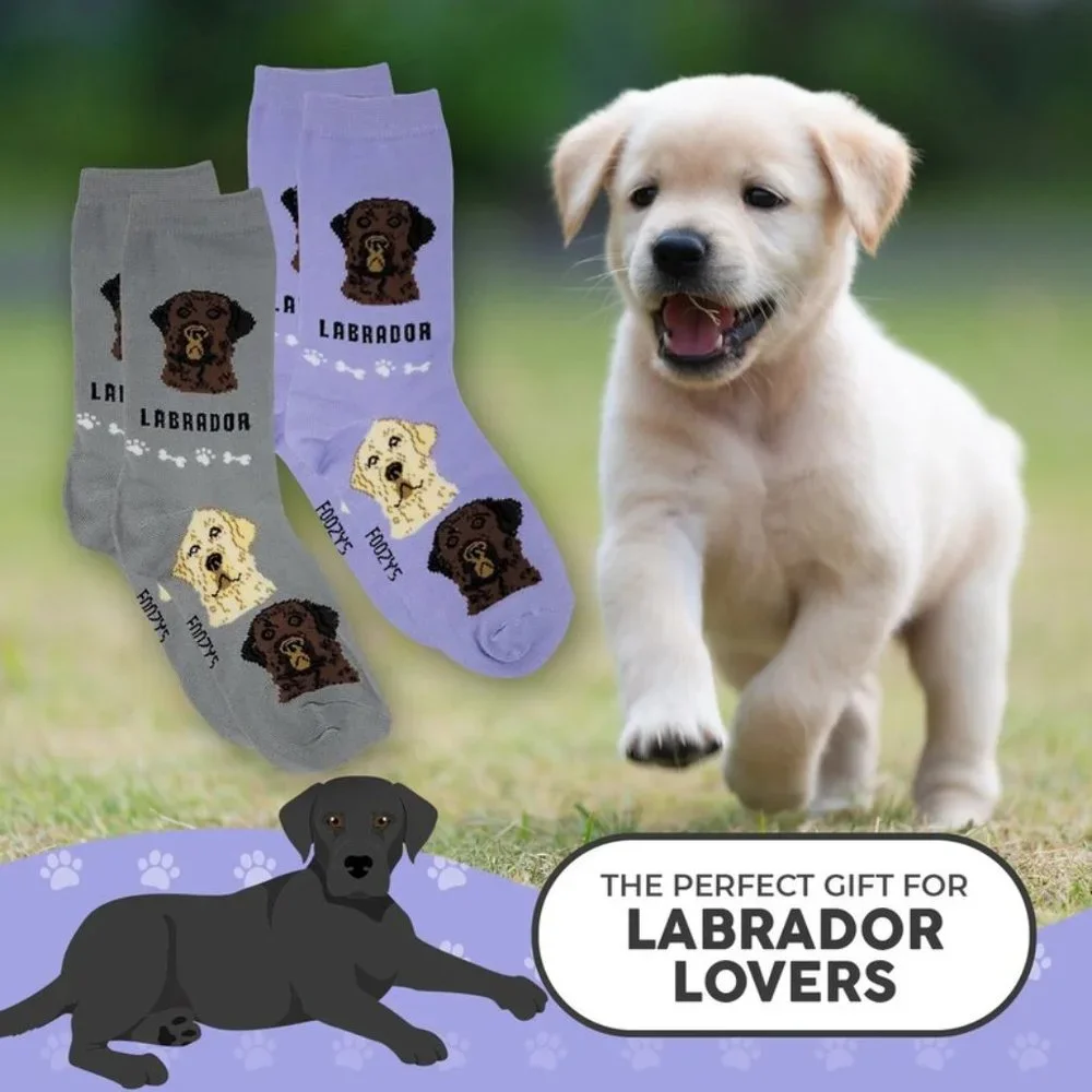 Labrador Retriever Lab Dog Puppy 2 Pairs Women's Foozys Canine Socks Cute Animal